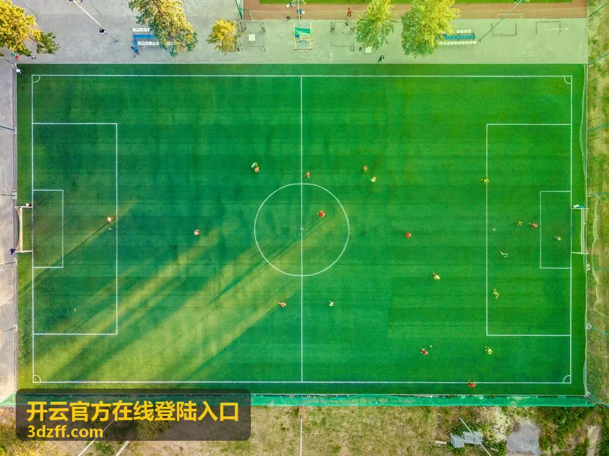 开云官方在线登陆入口开通流程与登陆自检示意