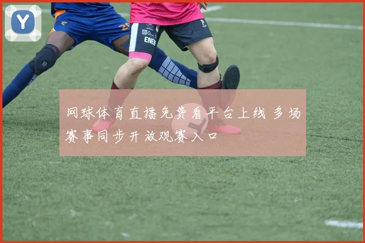网球体育直播免费看平台上线 多场赛事同步开放观赛入口
