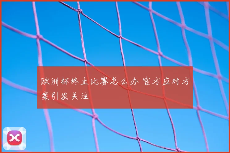 欧洲杯终止比赛怎么办 官方应对方案引发关注