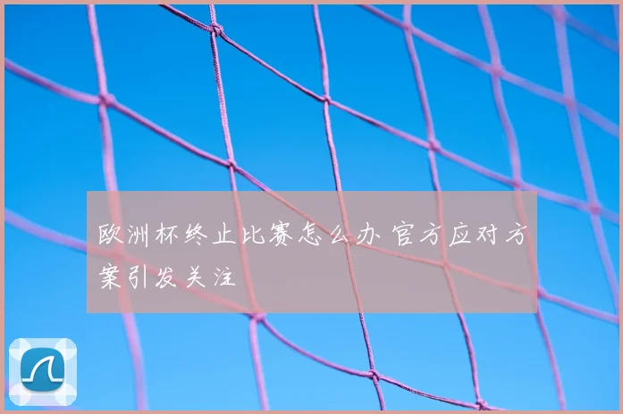 欧洲杯终止比赛怎么办 官方应对方案引发关注
