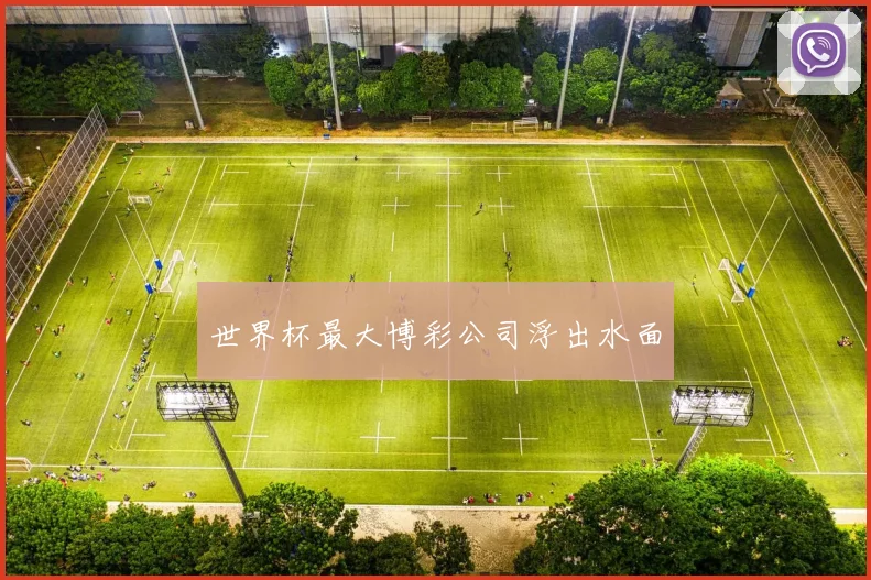 世界杯最大博彩公司浮出水面