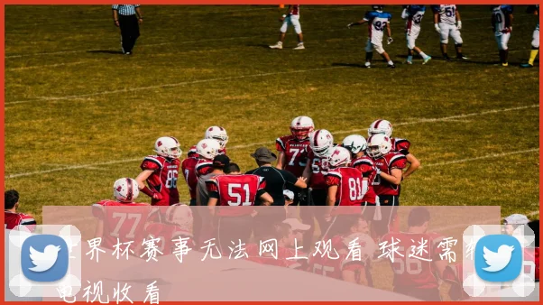 世界杯赛事无法网上观看 球迷需转电视收看