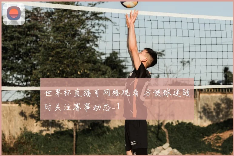世界杯直播可网络观看 方便球迷随时关注赛事动态_1
