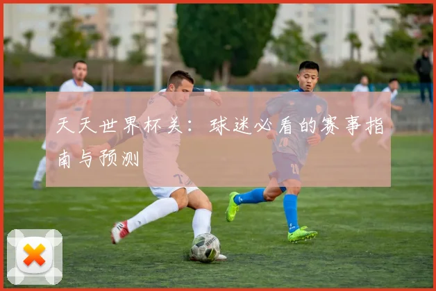 天天世界杯关:球迷必看的赛事指南与预测